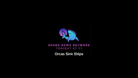 Orcas Sink Ships