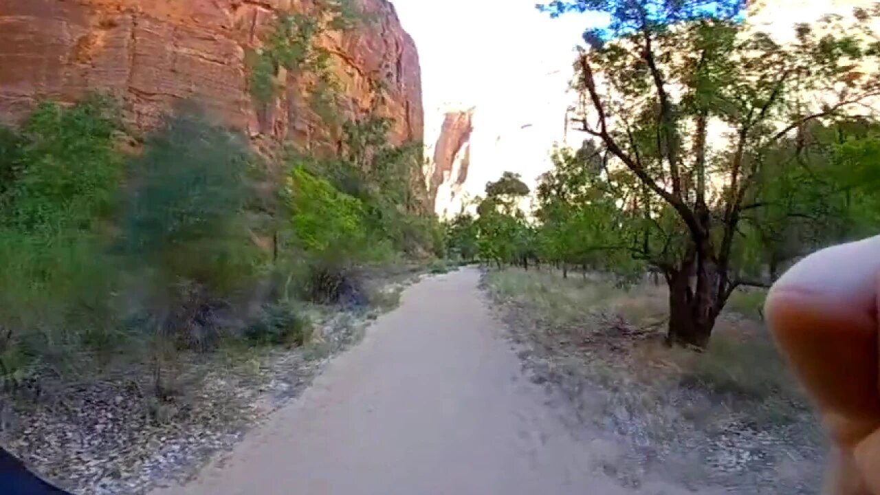 Zion Nlt Park Hike 20180629 1647
