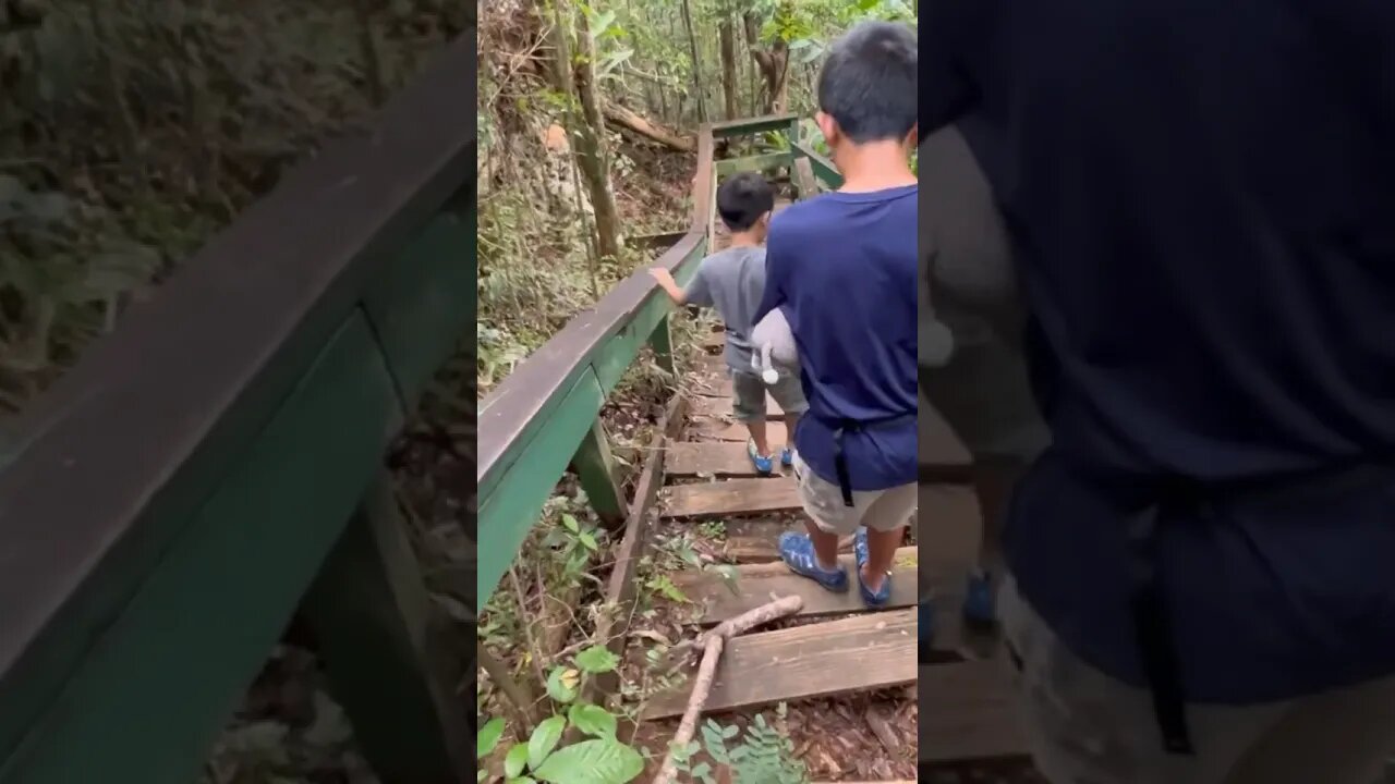 Our wildest adventure yet. Exploring Cueva del Viento at Guajataca Forest Reserve.