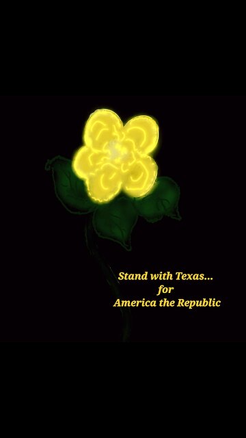 Yellow Roses are my favorite