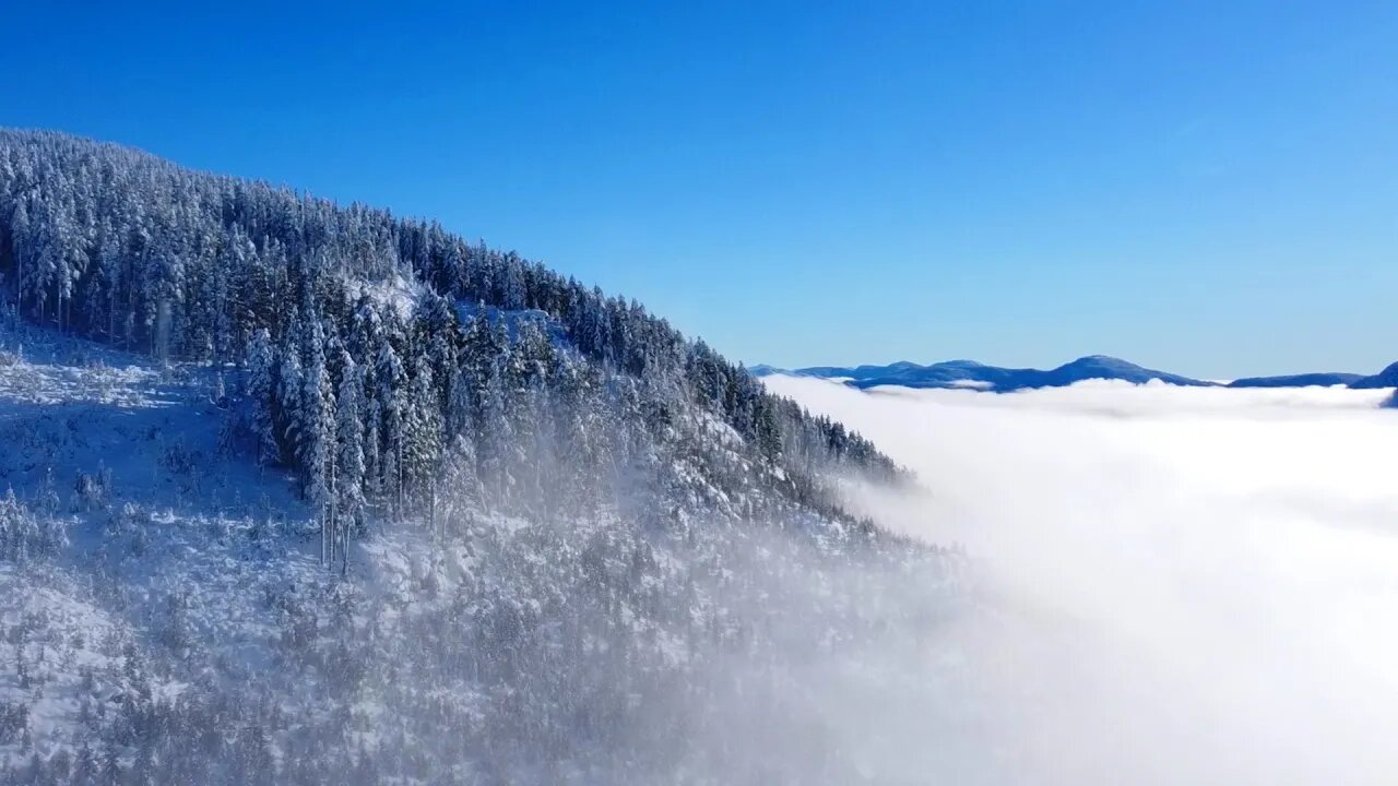 CLOUD INVERSION! Snowshoeing - Elizabeth Lake Lookout Vancouver Island