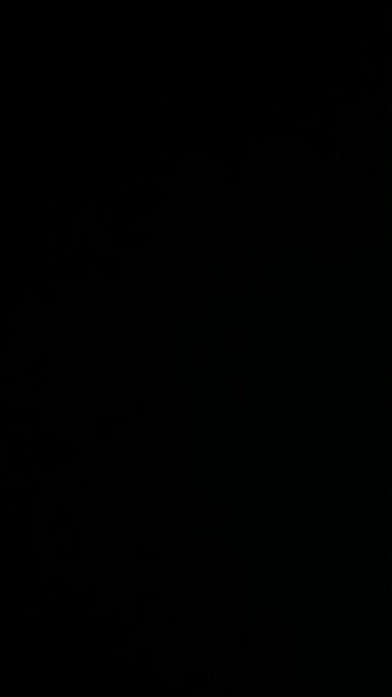 Christian missionaries