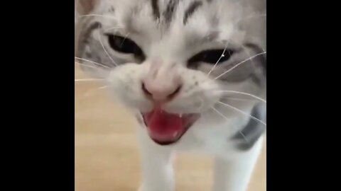 POR FAVOR INSCREVA ME AJUDA - PLEASE SUBSCRIBE HELP ME