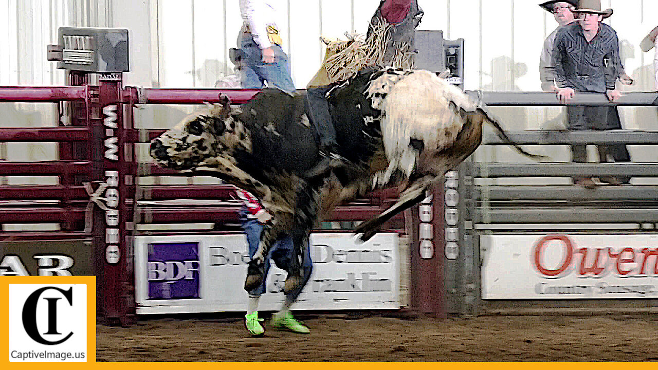 Bull Riding - 2023 ABC Pro Rodeo | Thursday