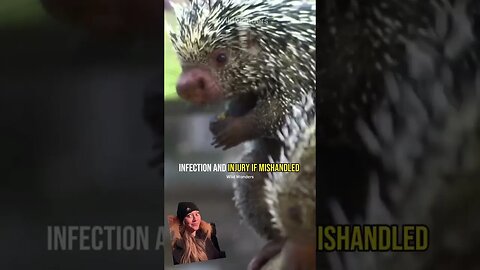 COMPLETELY SAVAGE!!! #shorts #viral #trending #animals #viralvideo #shortsfeed #facts #wildlife #wow