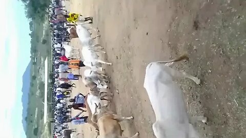 Big Market In Ethiopia