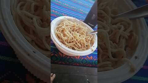 Ufo nisin pasta just add water