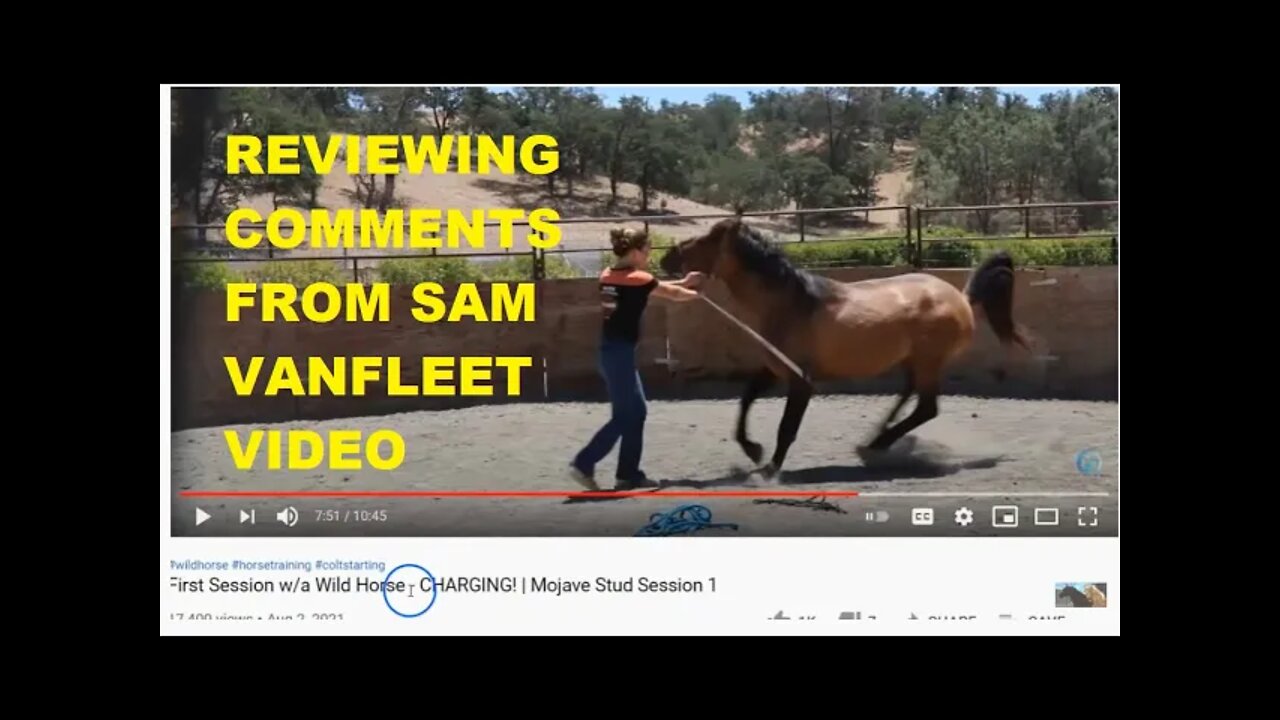 Reviewing Comments On Sam Vanfleet Video Where I Point Out Lack Of Aggression When A Horse Attacks