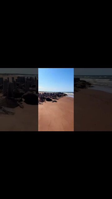 Left over parts of a dock