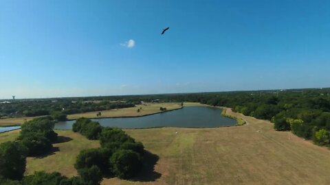 DJI FPV : EaglesAF [4K HD] (x0072)