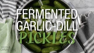 Old Fashioned Lacto-Fermented Garlic Dill Pickles