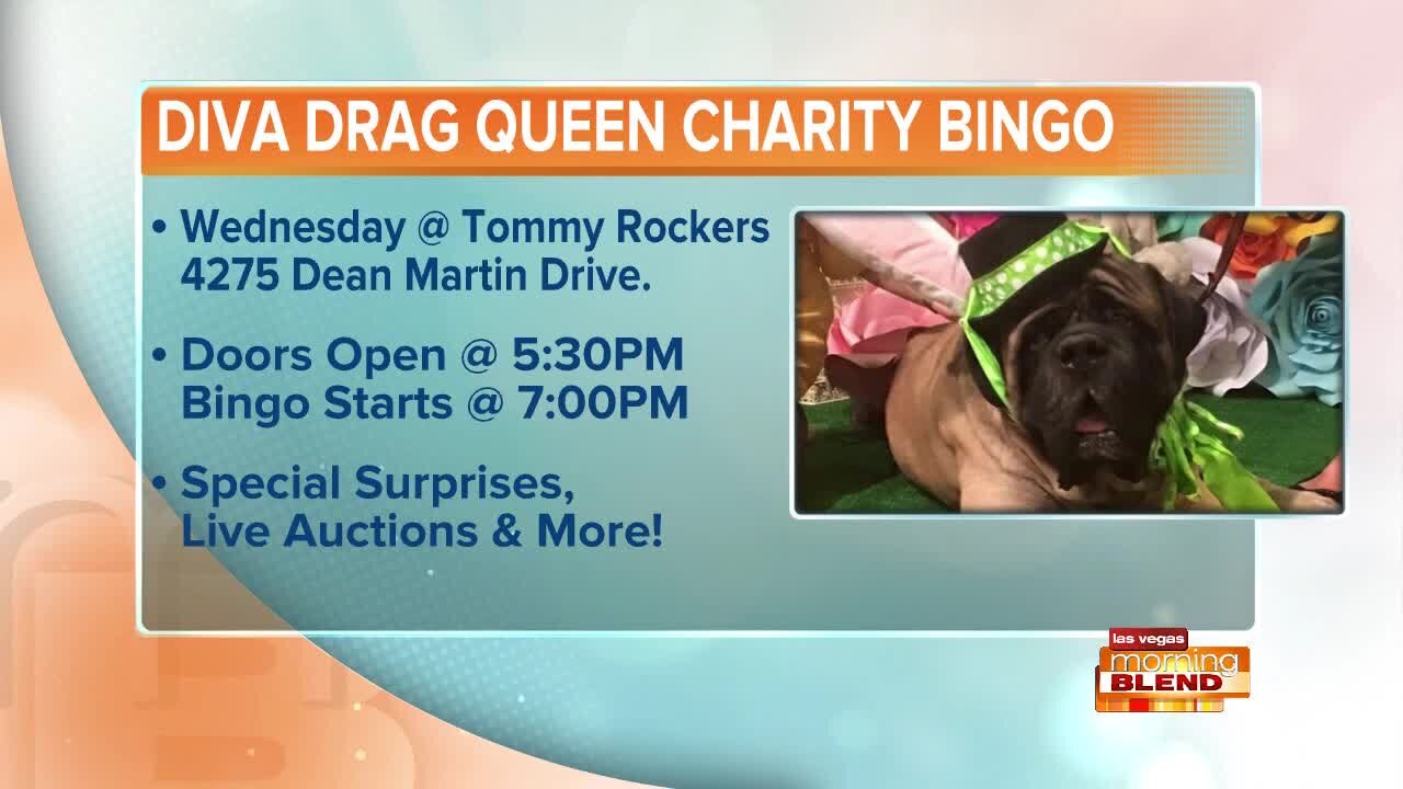 DIVA Drag Queen Charity Bingo