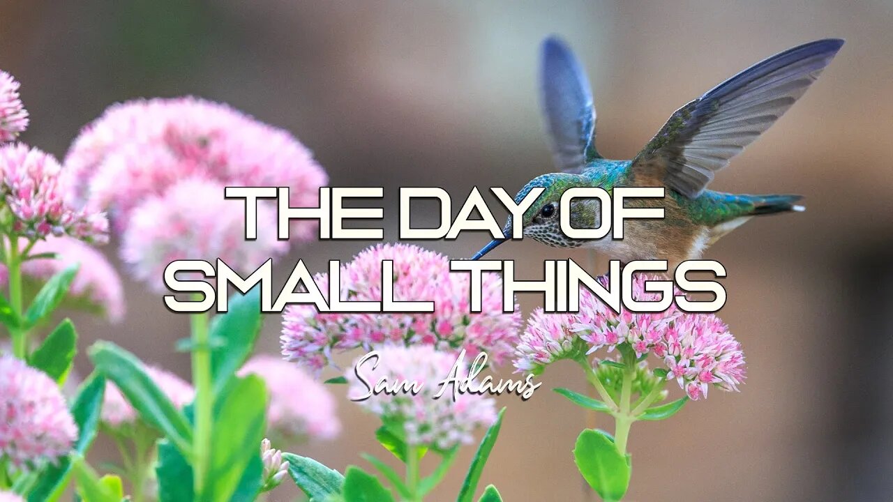 Sam Adams - The Day of Small Things