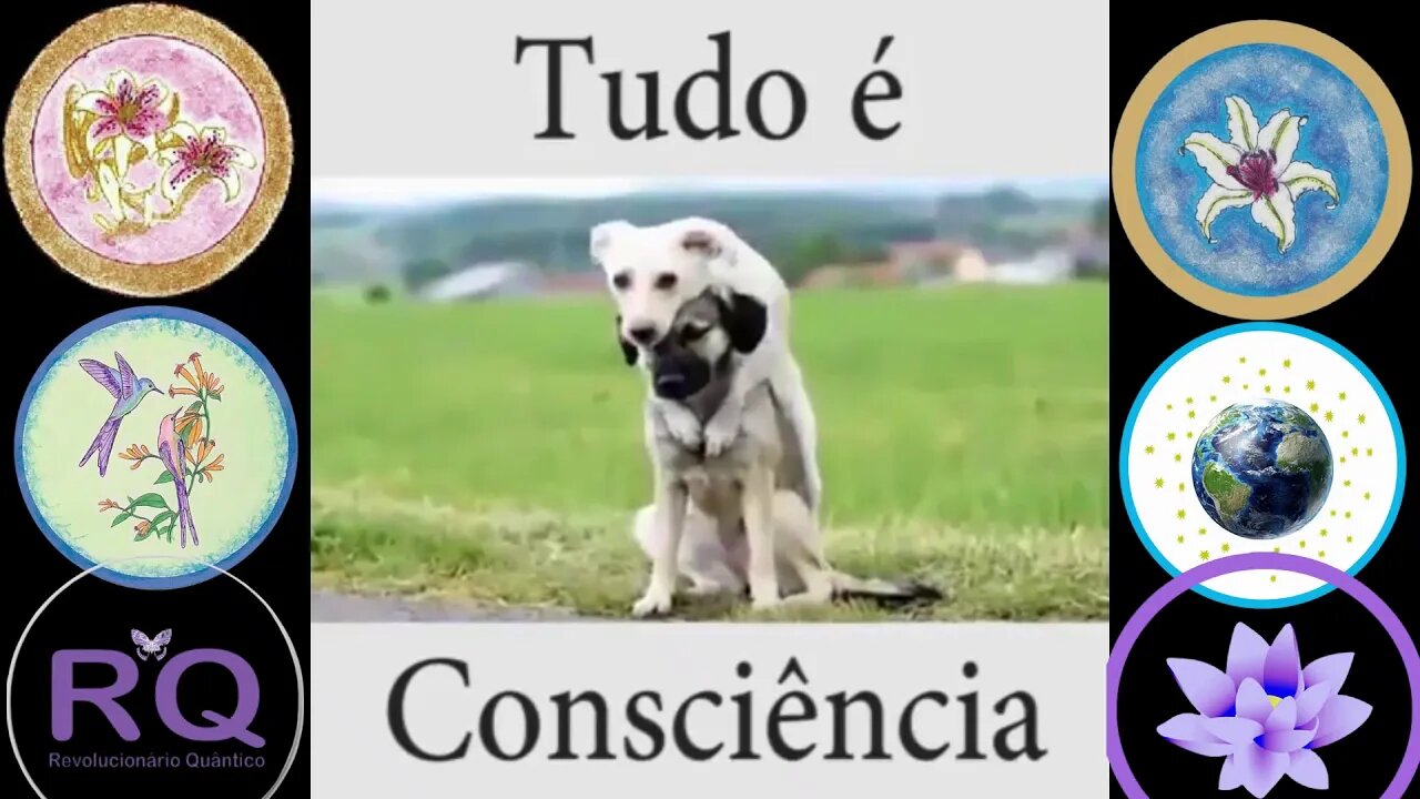 Tudo é Consciência.