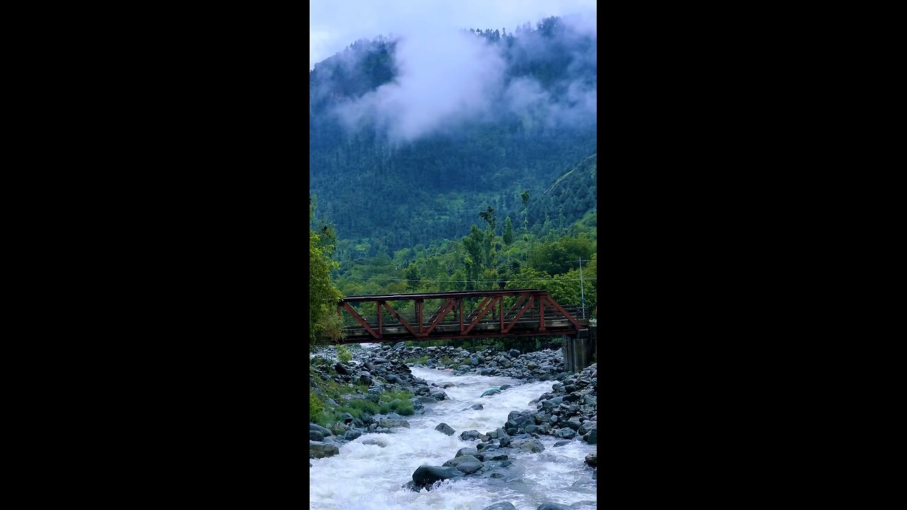 nature vibe ❤️