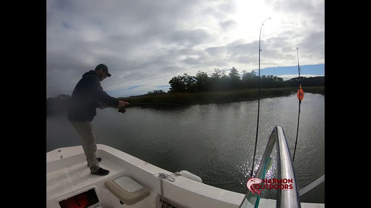 SHEEPSHEAD,TROUT,RED, BEAUFORT SC FISHING