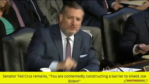 Senator Ted Cruz remarks, "You are contentedly constructing a barrier to shield Joe Biden!"