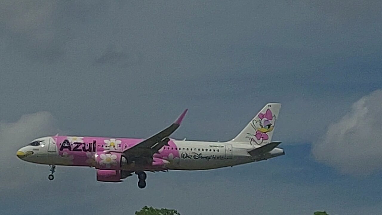 Airbus A320NEO PR-YSK Minnie Mouse livery coming from Campinas to Manaus