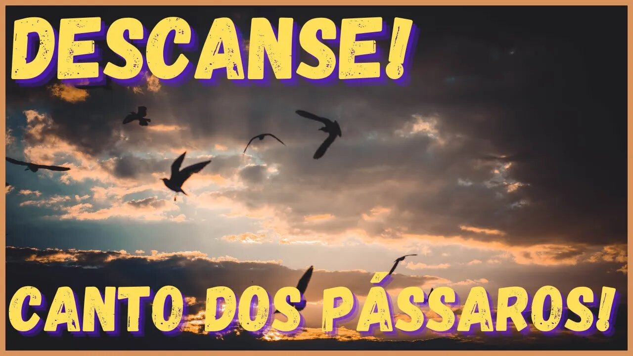 Canto dos pássaros relaxantes! Descanse já! Durma, medite, ore e estude!