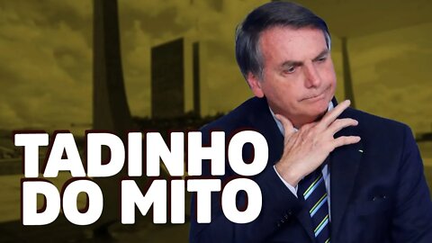 STF e Congresso não deixam Bolsonaro governar!