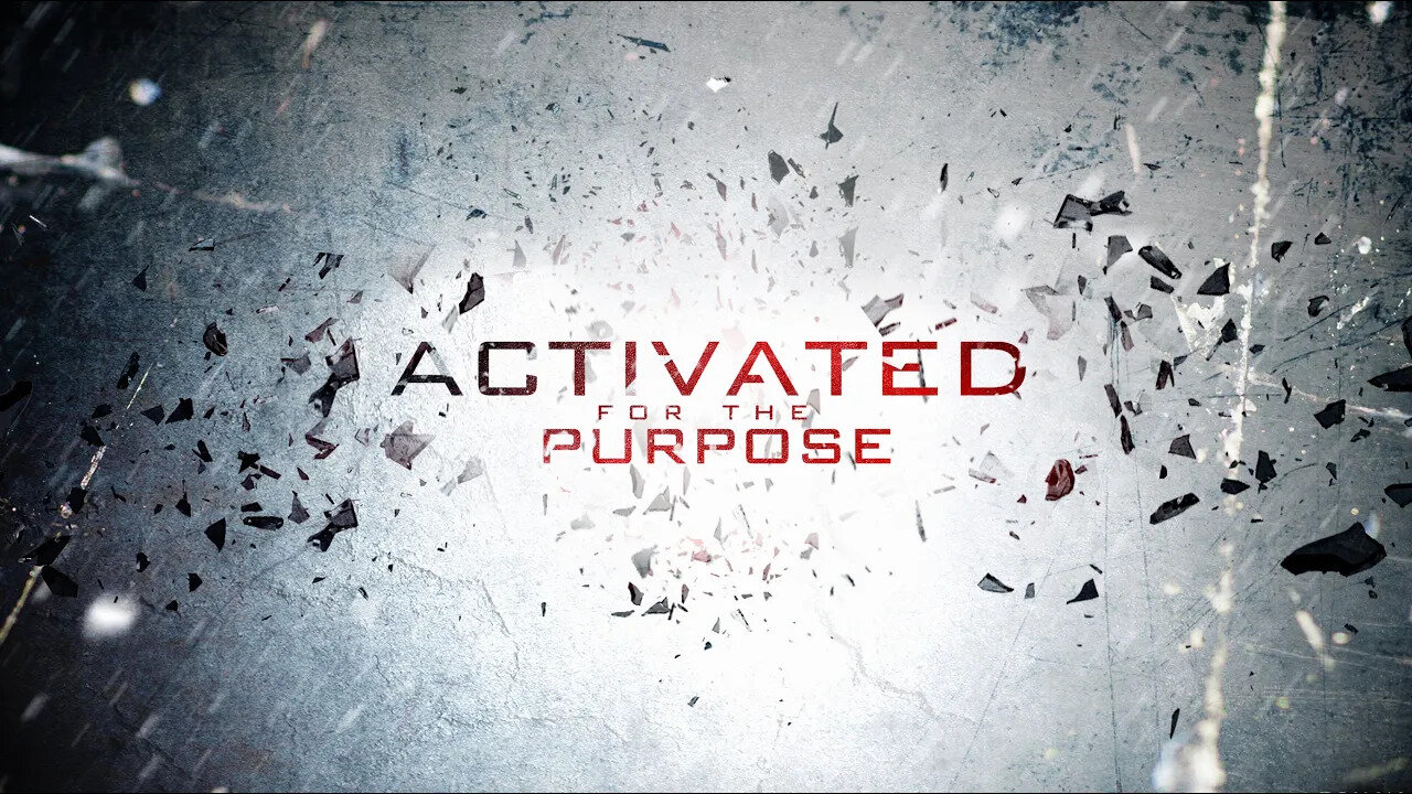 Activated For The Purpose - Vladimir Savchuk