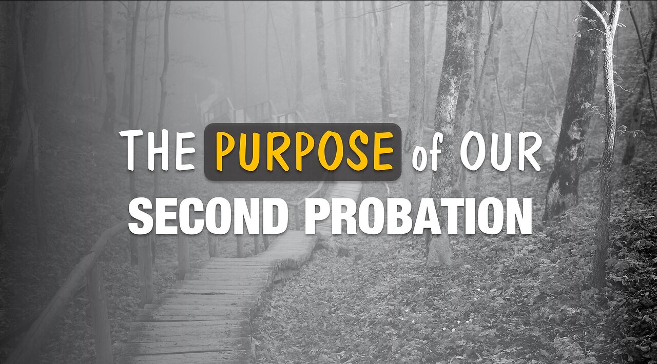 THE PURPOSE OF OUR SECOND PROBATION