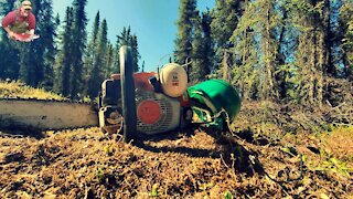 Episode 34 | Laying out the cabin footprint