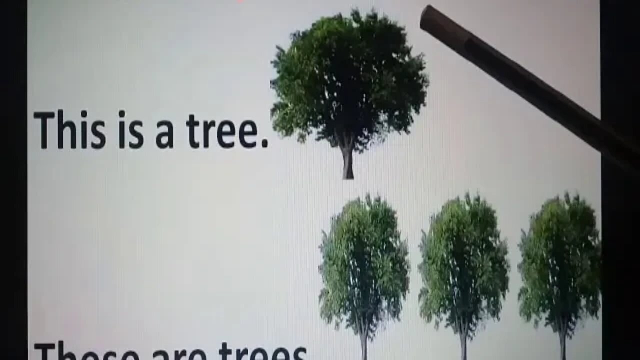 Prep English Book reading pg# 14 part 1