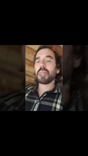 From The Forest To Lumber