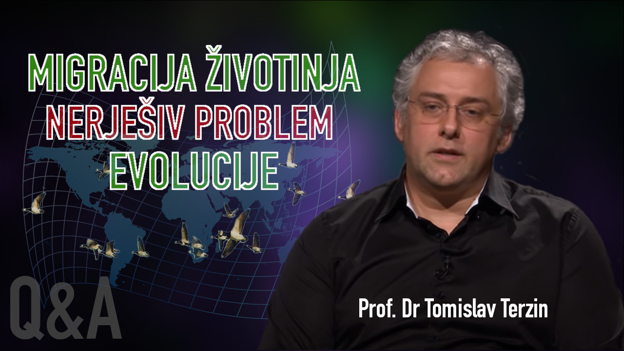 MIGRACIJA ŽIVOTINJA - NERJEŠIV PROBLEM EVOLUCIJE - Prof. Dr Tomislav Terzin