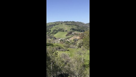 Briones Hike