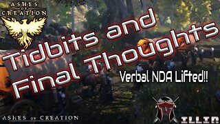 Ashes of Creation Alpha 1 Impressions Part Six: Tidbits and Final Thoughts