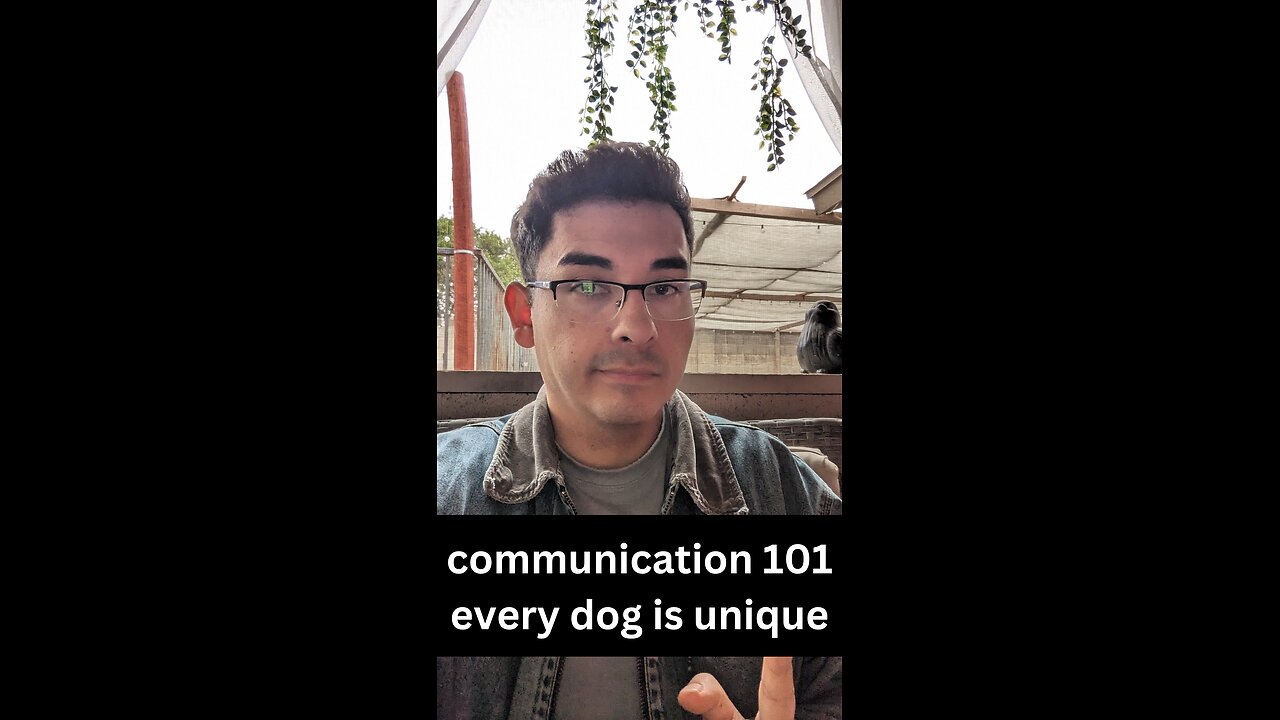 90 seconds to improve your communication with your dog!