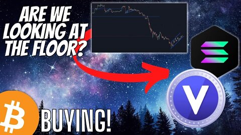 Vgx Token & Bitcoin Update! Floor Established?