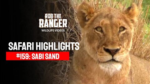 Safari Highlights #159: 01 - 04 Sep 2012 | Sabi Sand Nature Reserve | Latest Wildlife Sightings