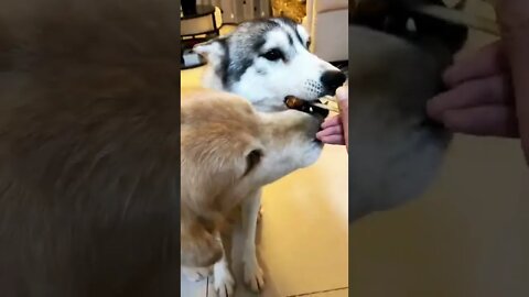 When there is NO FAIRNESS IN THIS WORLD this will happen , #short