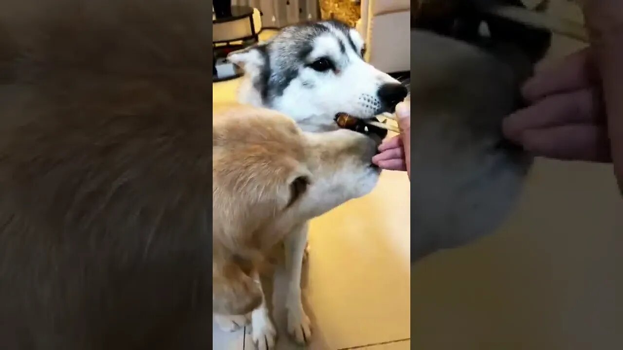 When there is NO FAIRNESS IN THIS WORLD this will happen , #short