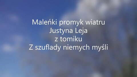 Maleńki promyk wiatru - Justyna Leja