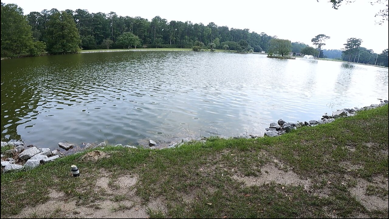 Bream Fishing A Private Pond With My Son- Conway, SC