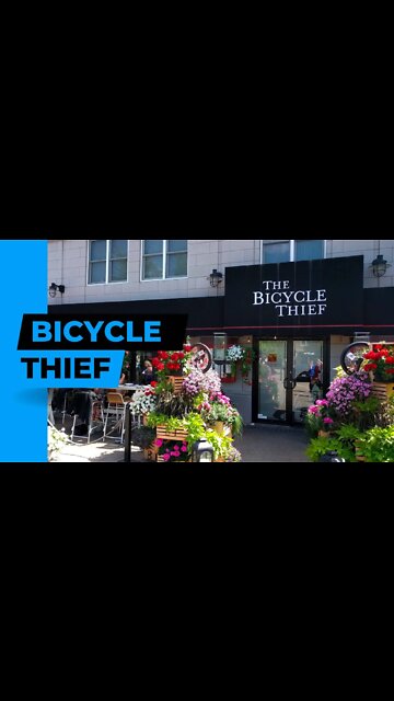 The Bicycle Thief Restaurant Halifax Nova Scotia