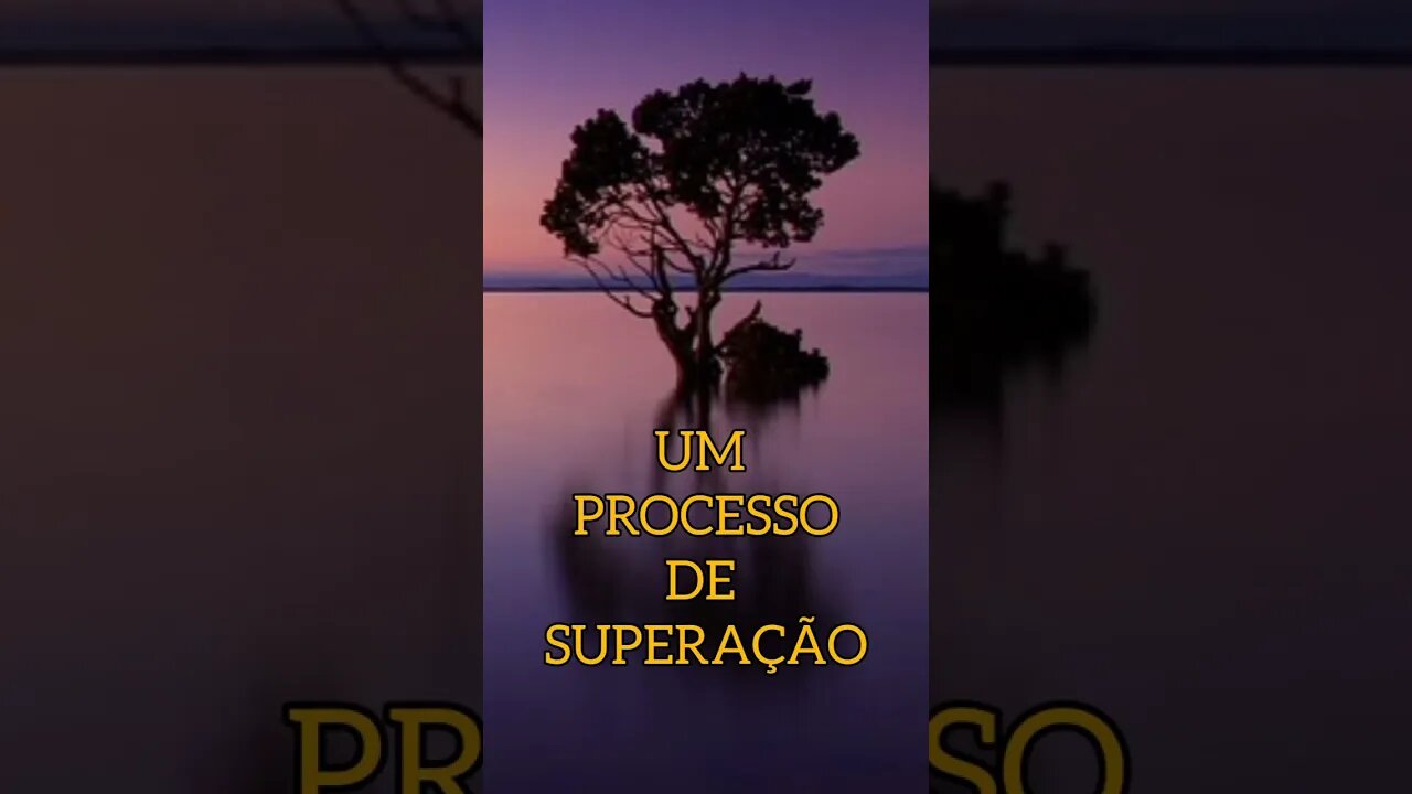 UM PROCESSO DE SUPERAÇÃO 🌻🌿 #shorts #frases #mindset