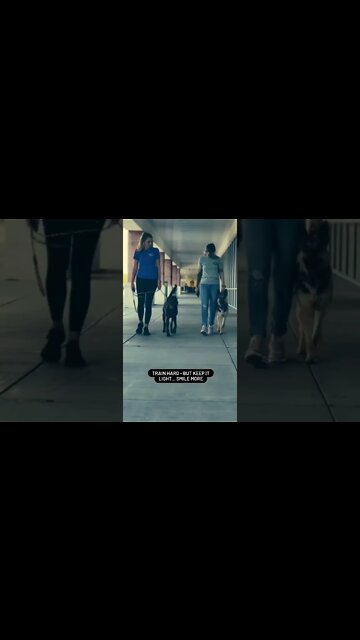 Train hard - train smart. Smile more.