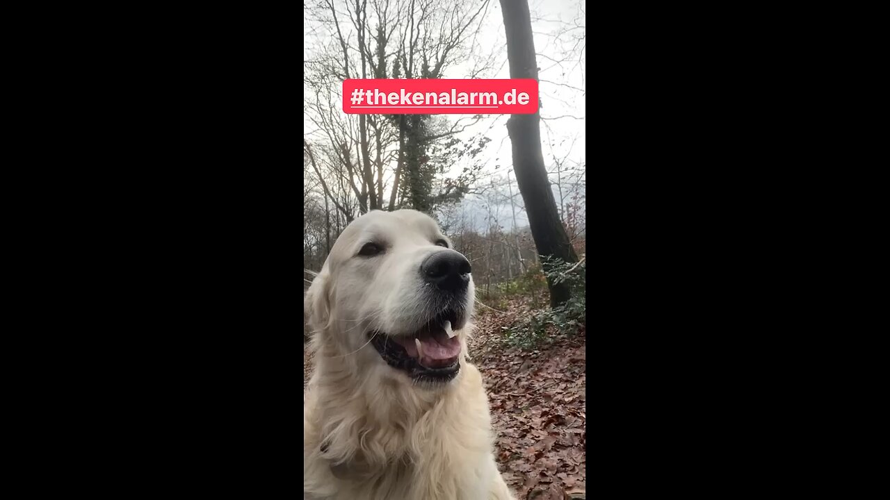 AUF RESERVE
