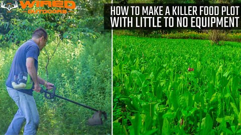 How To Make A Killer Food Plot With Little To No Equipment