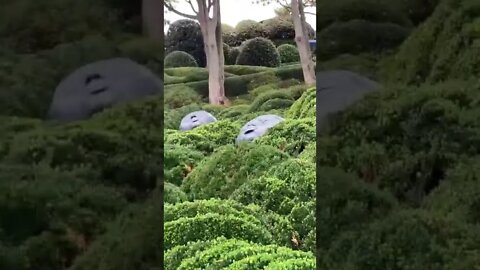 Jardins d’Étretat, les gouttes de pluie par Samuel Salcedo, 2016