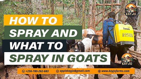 How To Spray And What To Spray In Goats | ep14 #goatfarming #farming