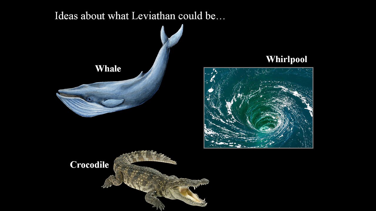 Leviathan (Part#3)