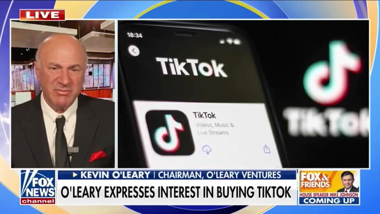 Shark Tank&apos;s Kevin O&apos;Leary Floats Buying TikTok