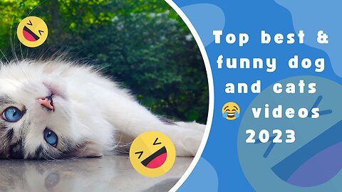 top best & funny dog and cat videos 2023
