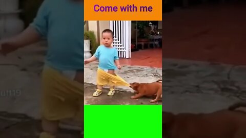 Cute baby with his dog, funny child video